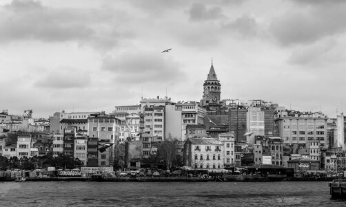 Istanbul peace marine photo