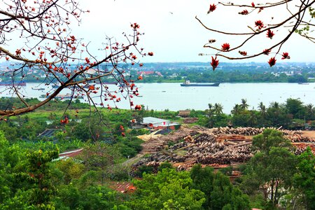 River mekong photo