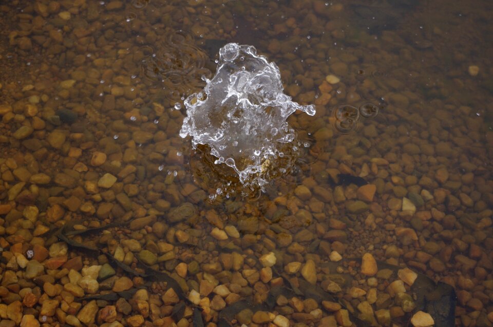 Pond zen