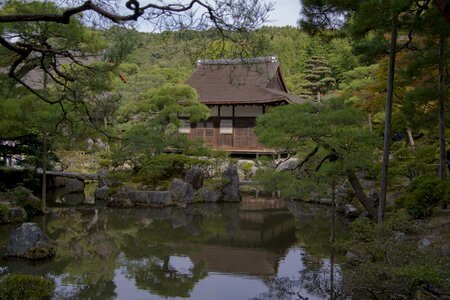 Zen nature pond