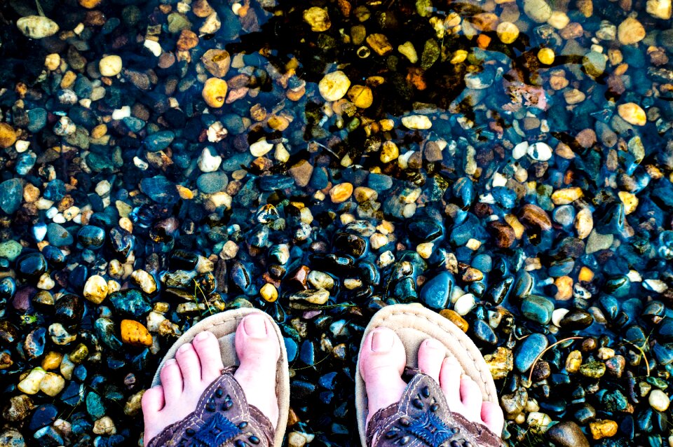 Nature landscape water's edge