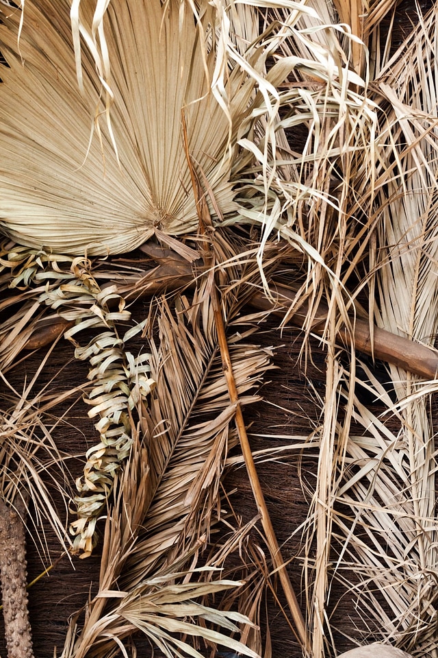 Leaf palm pattern