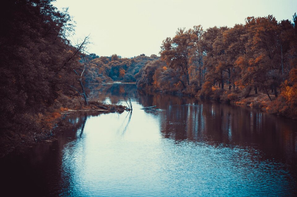 Nature autumn water
