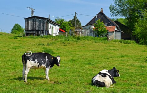 Bauer houses farmhouse