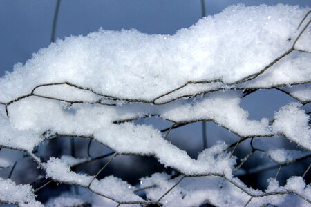 Cold frosty fence photo
