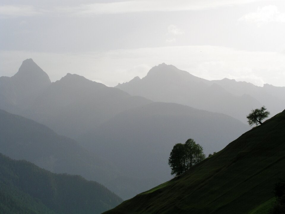 Tree mountain panorama hazy