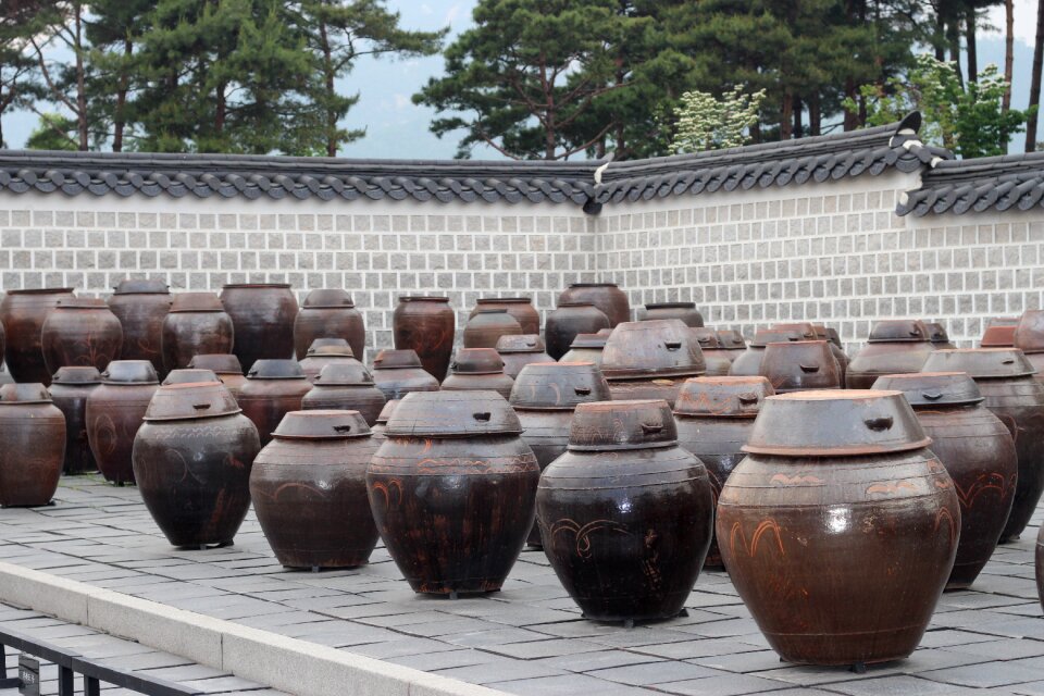 Traditional forbidden city palaces
