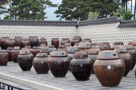 Traditional forbidden city palaces