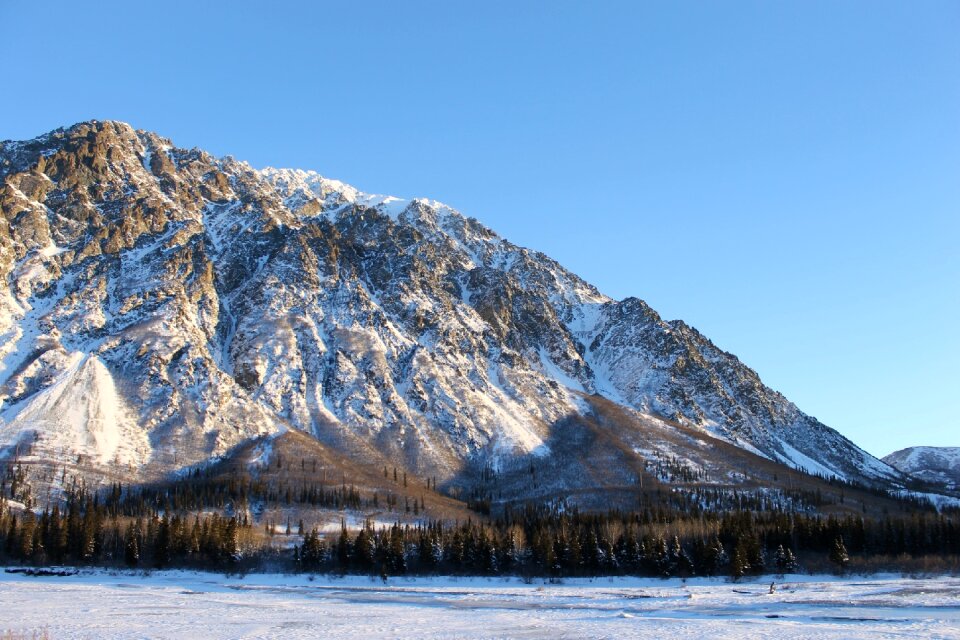 Cold winter snow