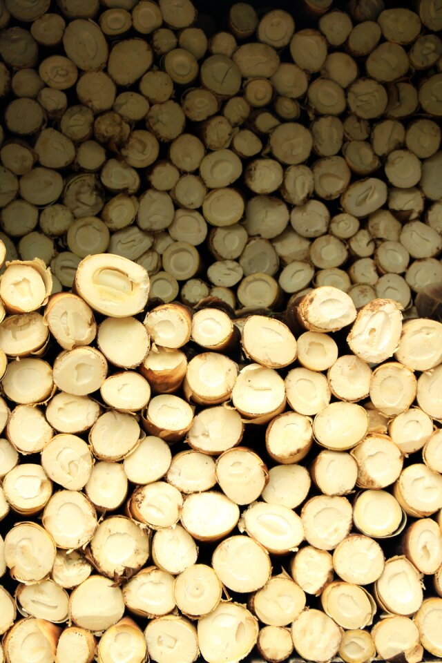 Bamboo shoot wood bamboo shoots