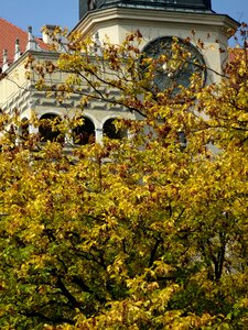The museum architecture tree
