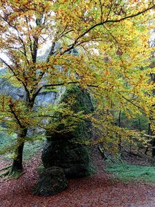 Landscape autumn nature