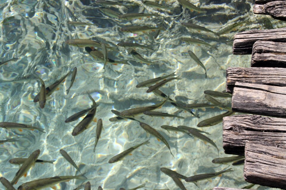 Croatia national park clear water