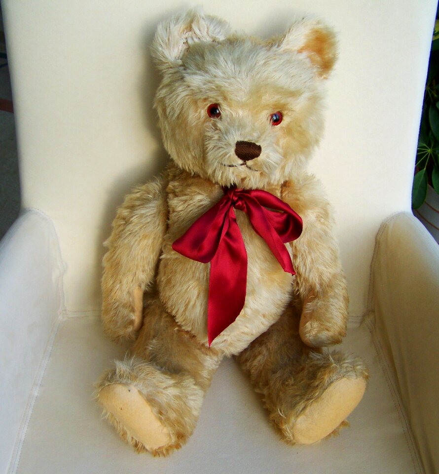 Teddy bear child's play hairy