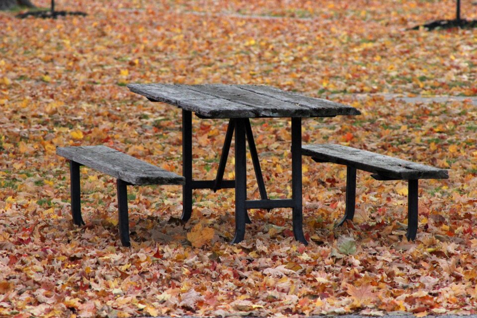 Nature outdoor