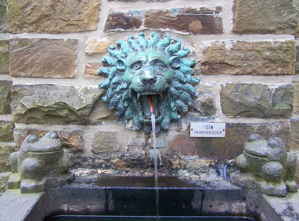 Lion head basin water