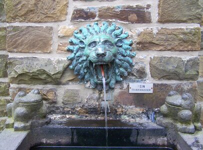Lion head basin water photo