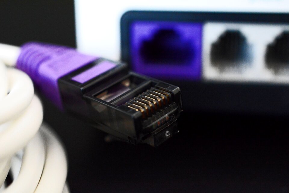 Network cables line internet