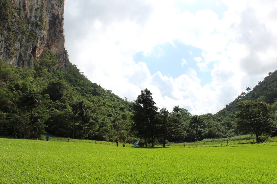 Natural viñales cuba