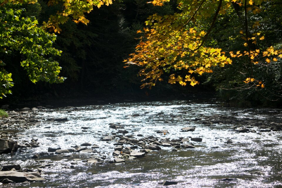 Landscape tranquil autumn