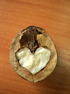 Heart greek romance