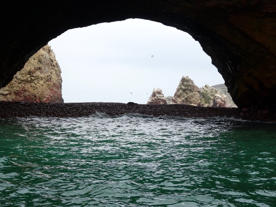 Ballestas islands birds sea