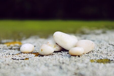 Nature garden pebbles