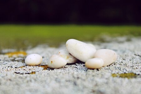 Nature garden pebbles photo