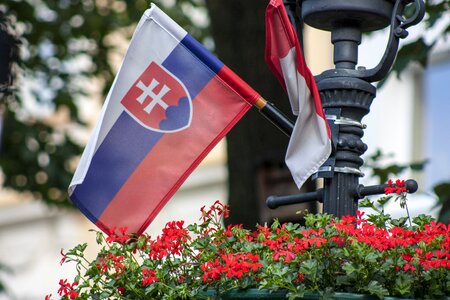 Slovakia spring slovak flag
