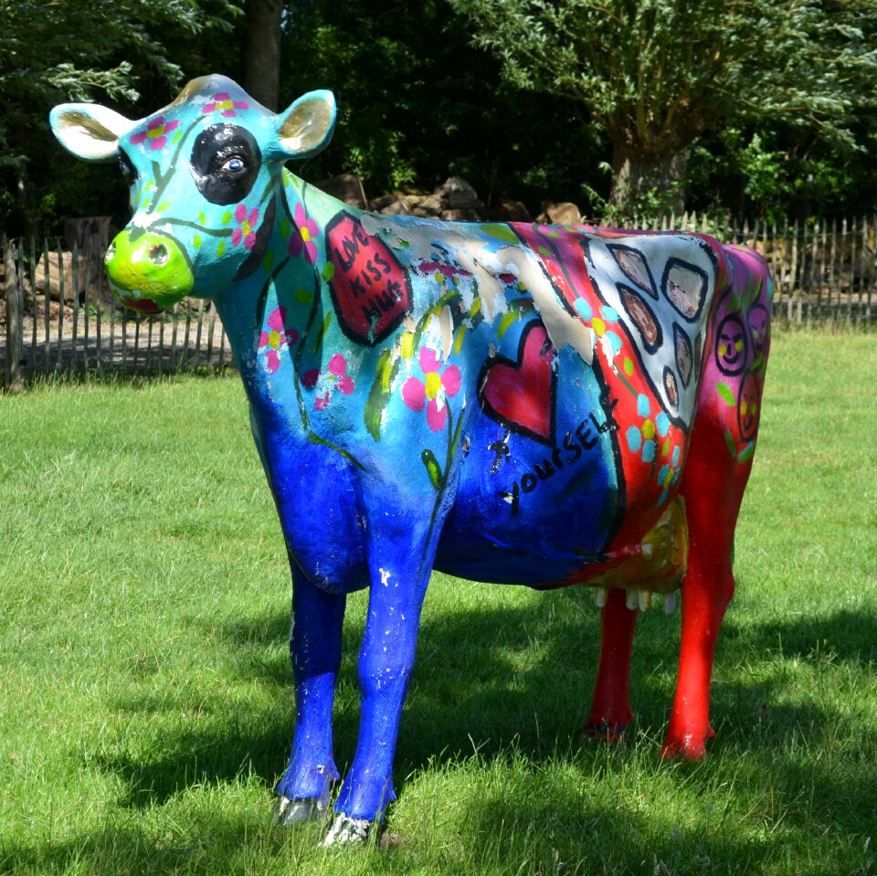 Painted colorful art