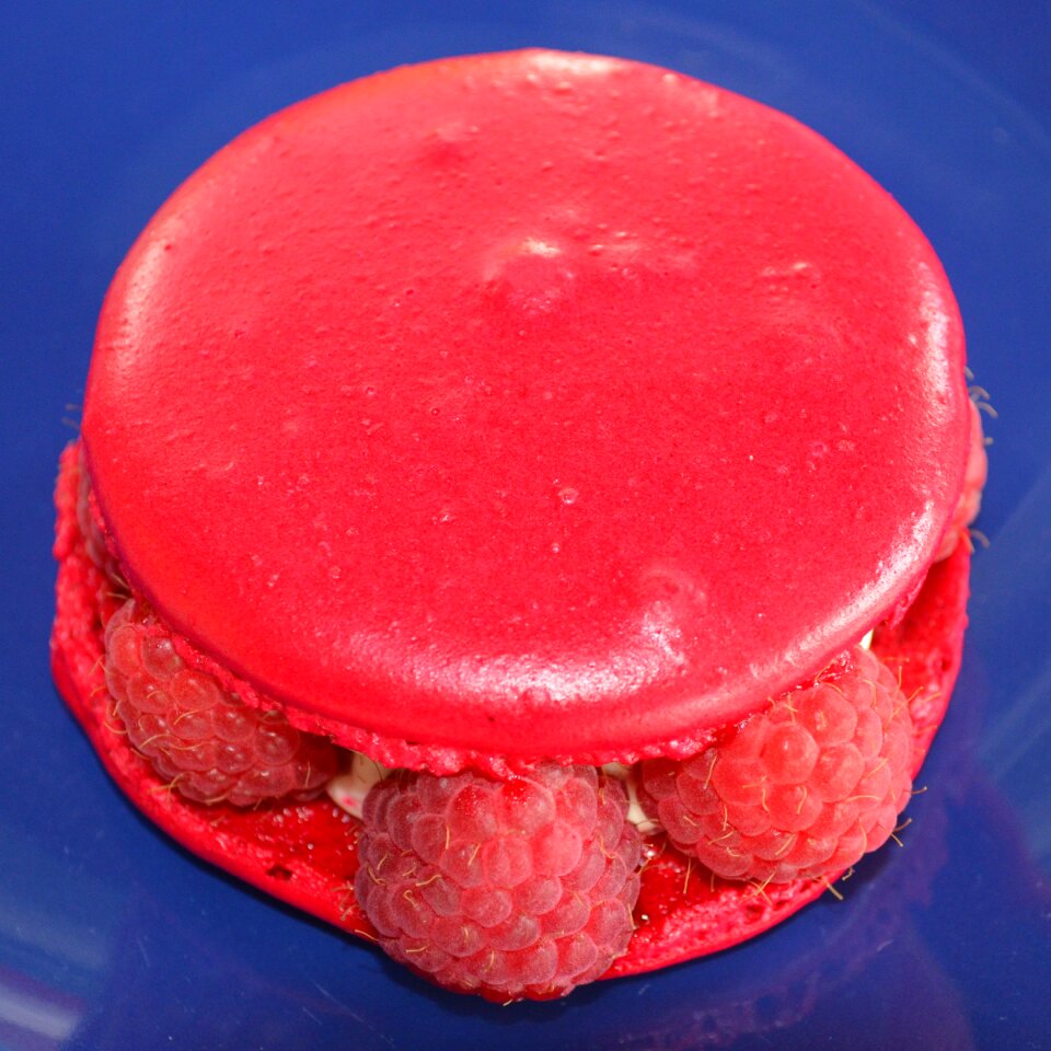 Sweet dessert blue