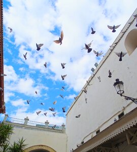 The medina tunis tunisia photo