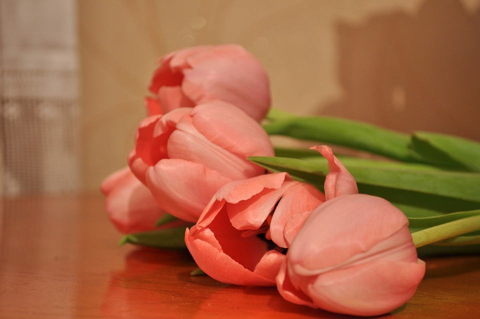 Bouquet blossom bloom