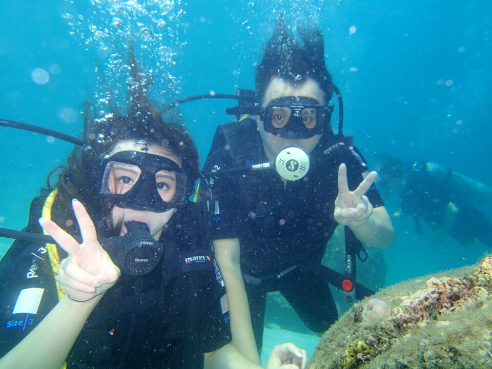 Coral sea anemones clown fish