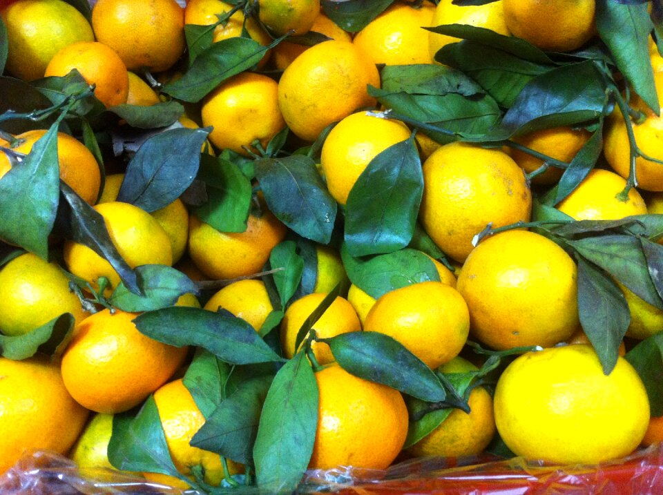 Mandarins fruit tasty