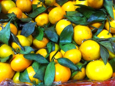 Mandarins fruit tasty