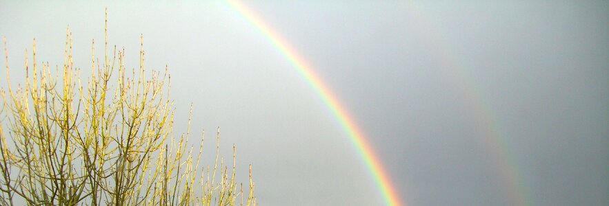 Scene sky