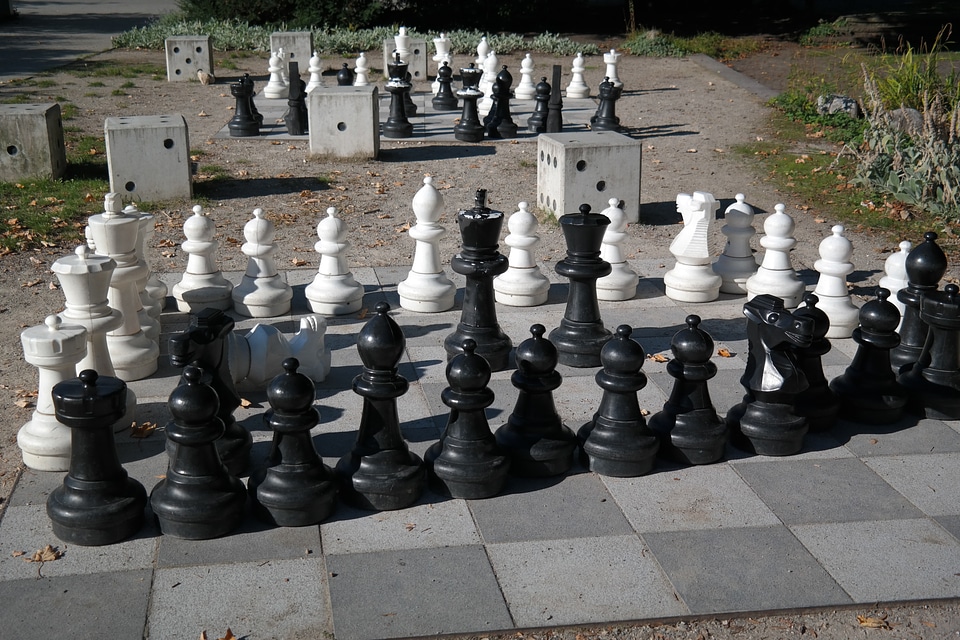 Black white chess game