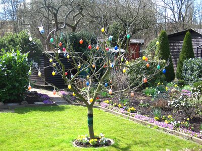 Easter easter eggs garden photo