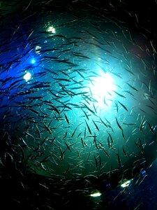 Water nature blue