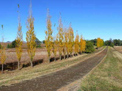 Rural landscape photo