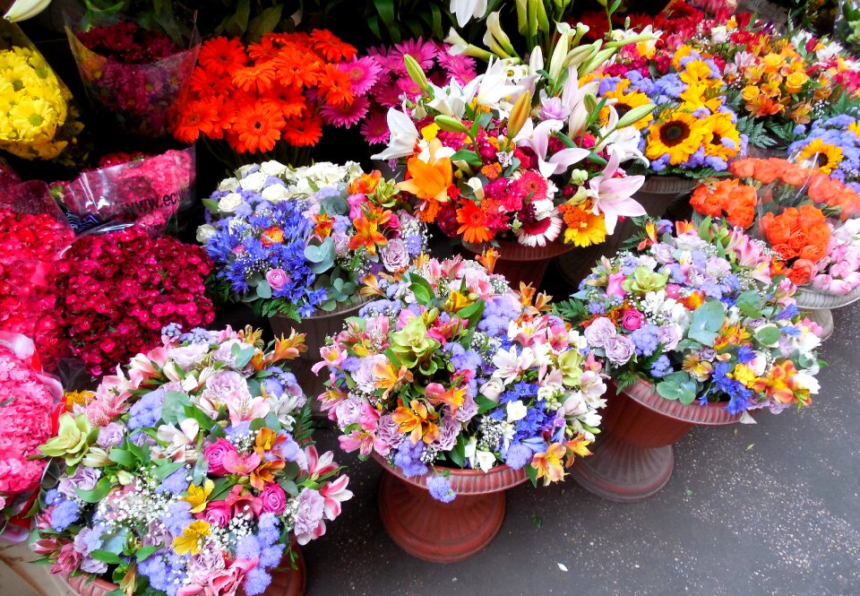 Flowers market flowers was