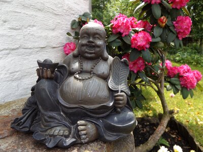 Buddha pink spring