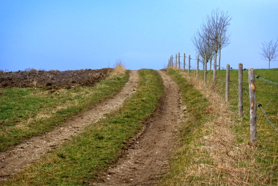 Meadow field landscape way