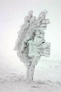 White cold landscape