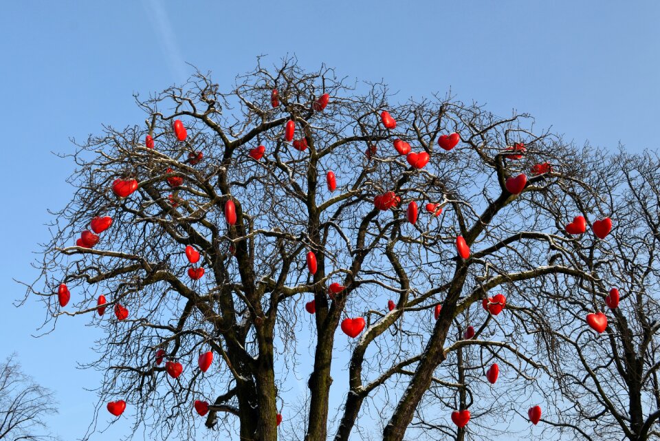 Together tree romance