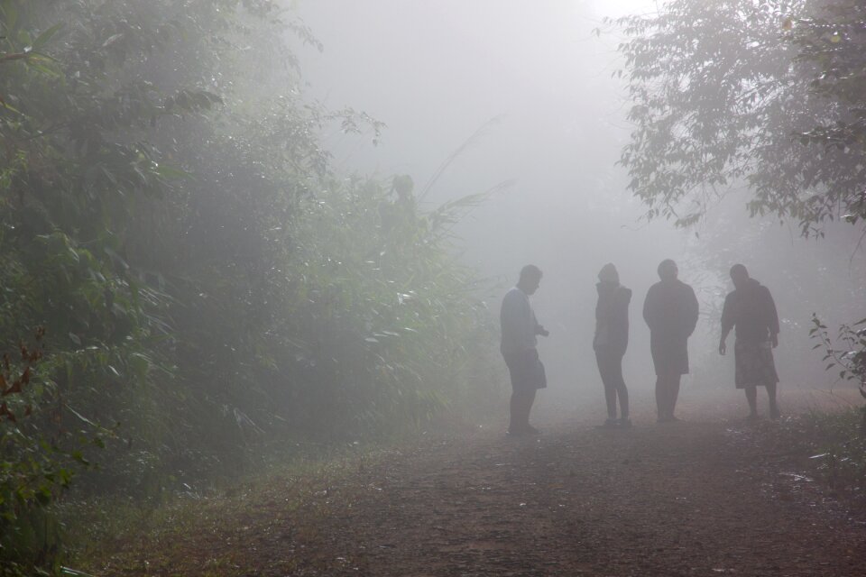 The national park tourists silhouettes