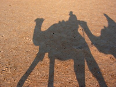 Shadow sand desert photo