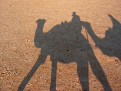 Shadow sand desert