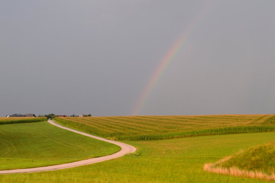 After the rain country side fields